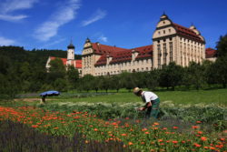 Kräutergarten Westflügel