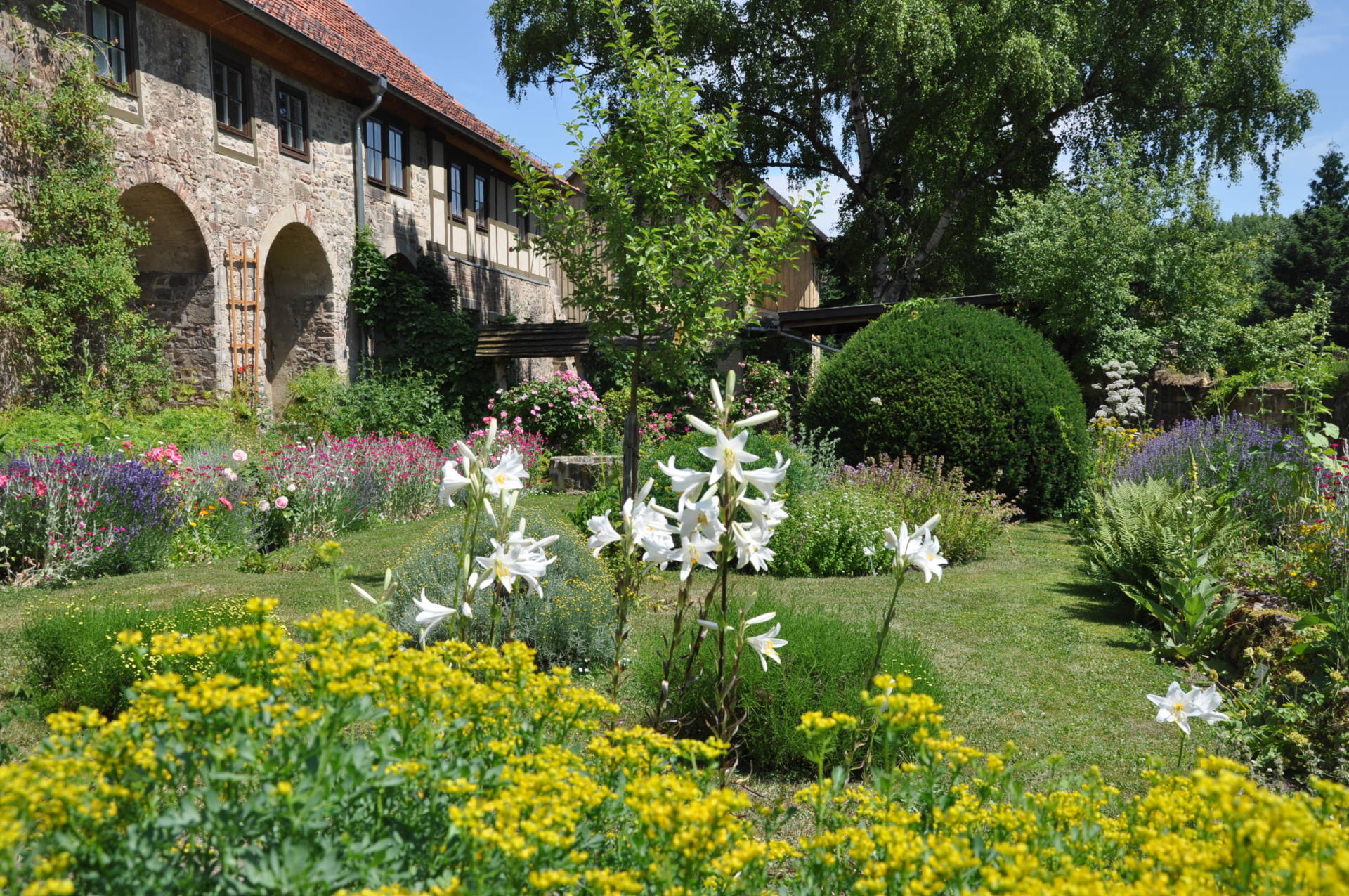 Foto von Garten