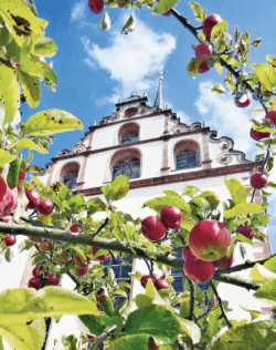 Öko Pioniere Äpfel